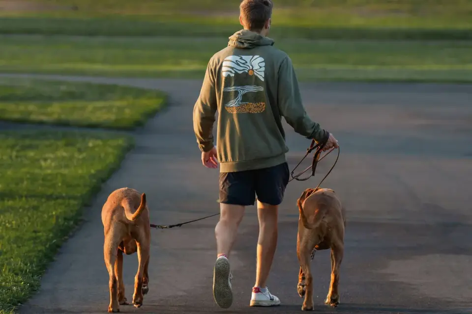 A dog owner observing their dog&#x27;s gait while walking on a driveway