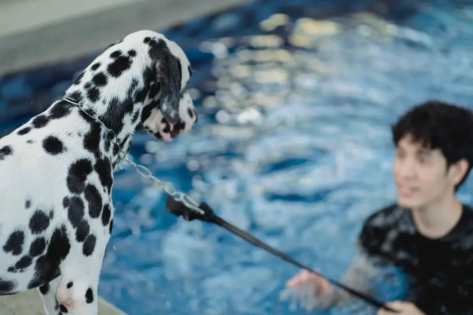 A rehab technician standing beside a dog walking in an underwater treadmill