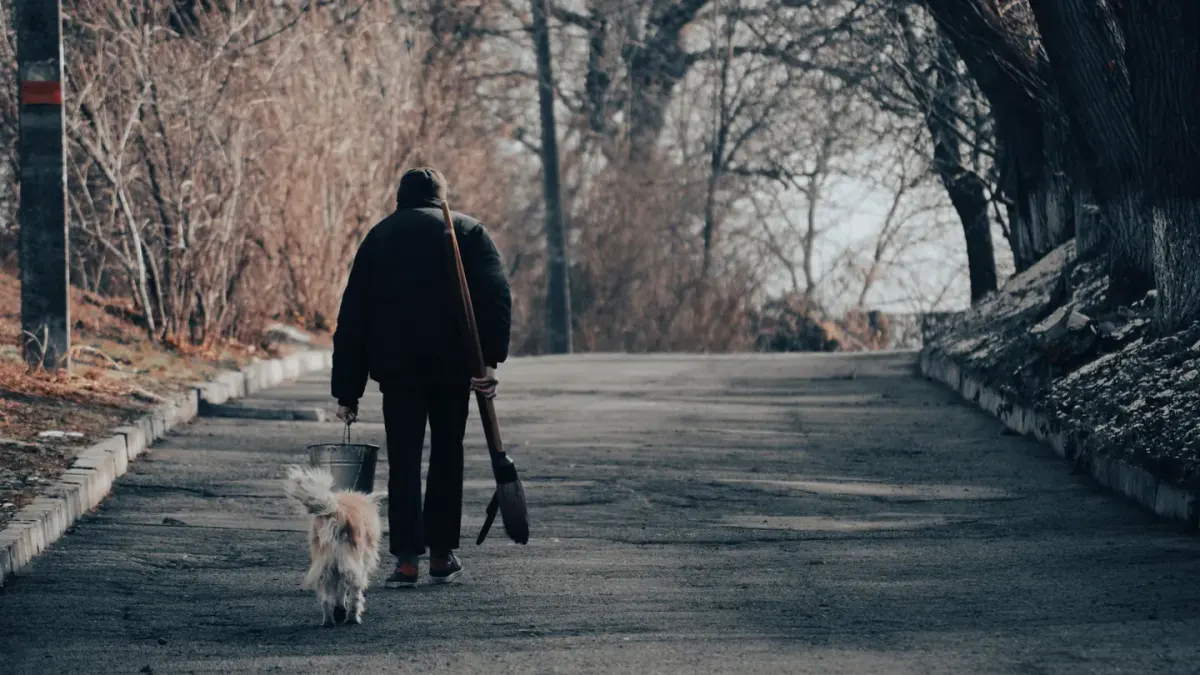 A senior dog sitting down on a sidewalk mid-walk, refusing to continue