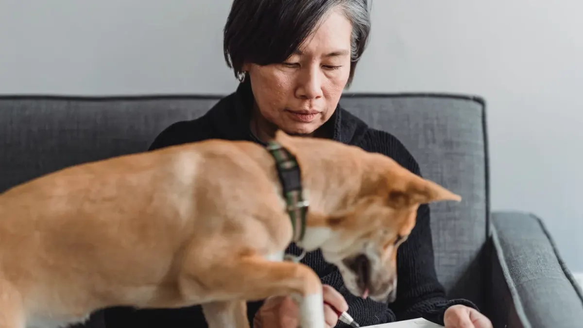A veterinarian examining a supplement label next to a dog on an exam table