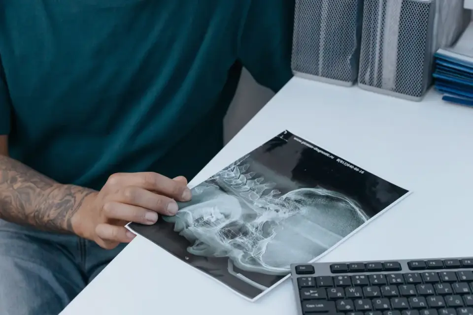 A veterinarian gently examining a dog&#x27;s neck during a wellness exam