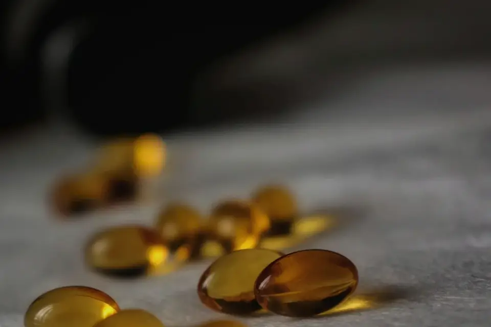 Bottle of fish oil supplement next to a dog&#x27;s kibble bowl