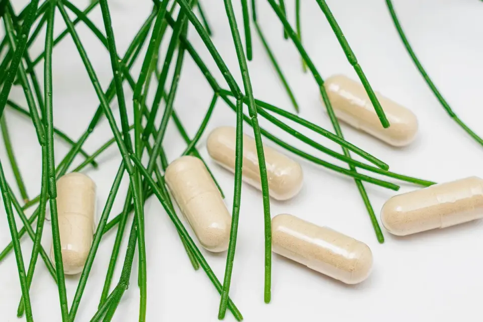 Close-up of a dog probiotic supplement label showing strain names and CFU count