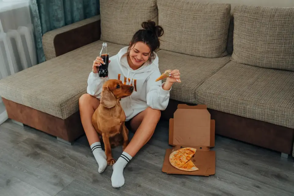 Dog eating from a bowl at home