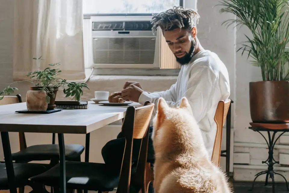 Dog in a kitchen with an owner