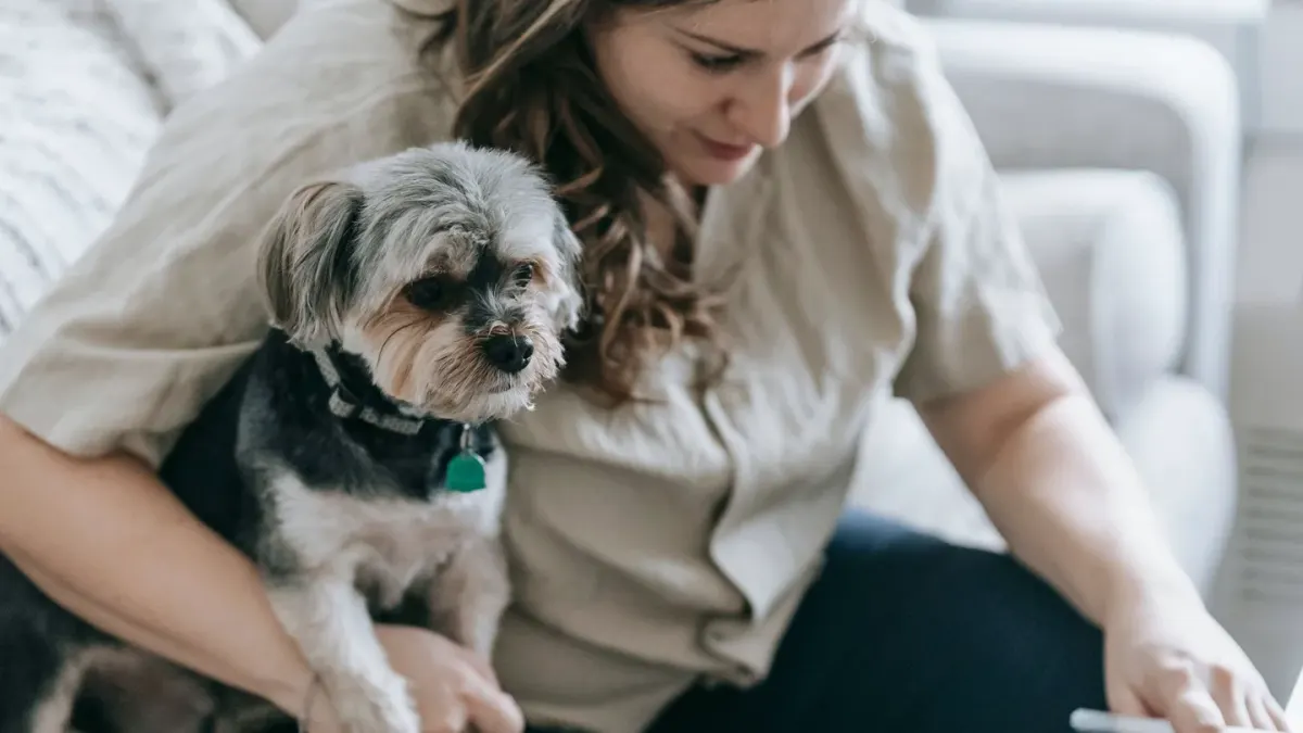 Dog in a kitchen with an owner