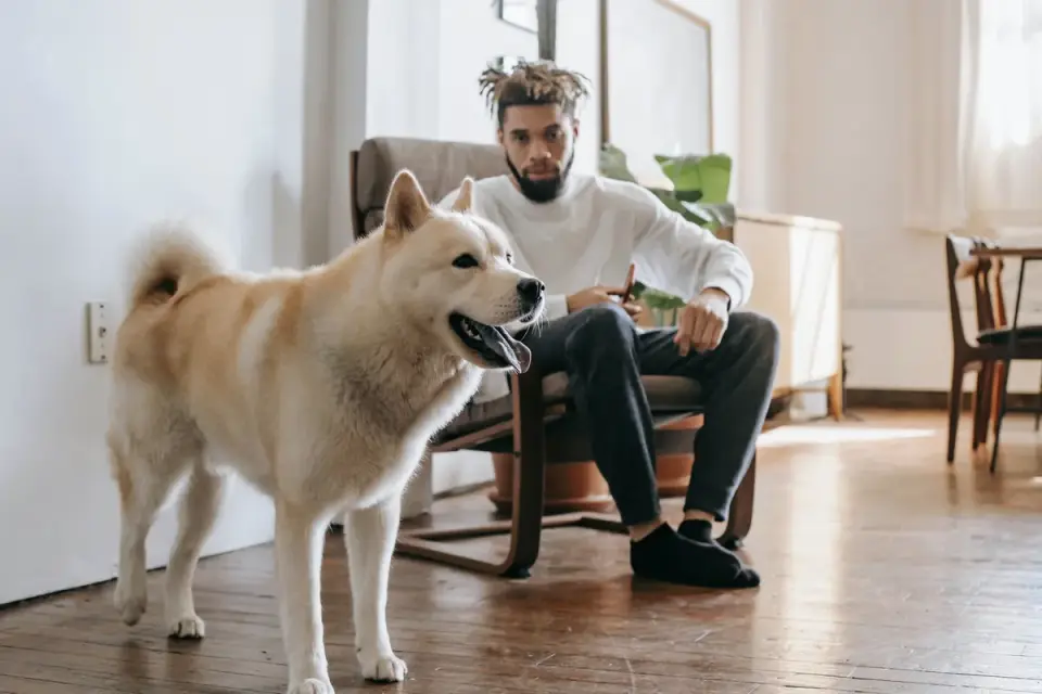 Dog in a kitchen with an owner