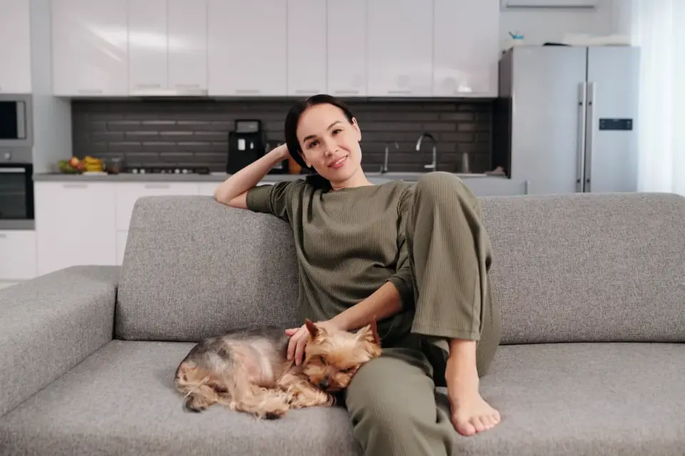 Dog in a kitchen with an owner