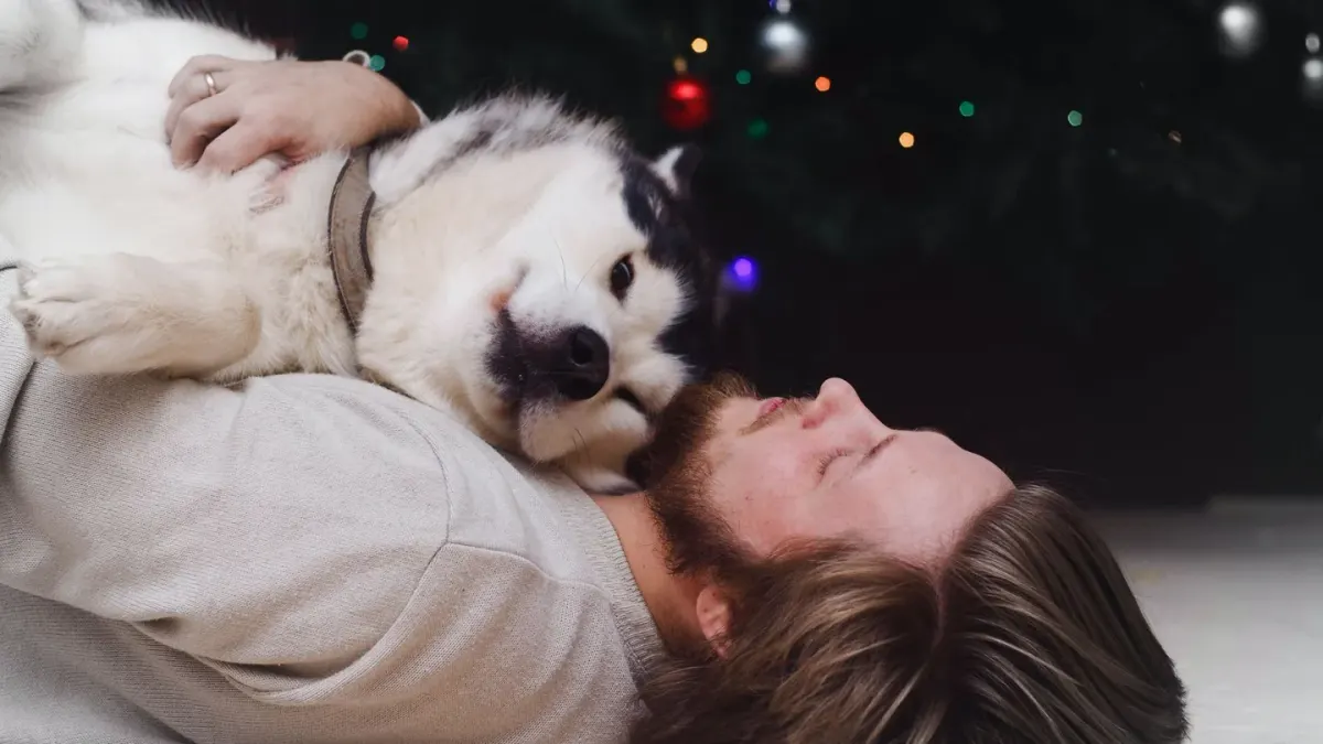 Dog with an owner at home