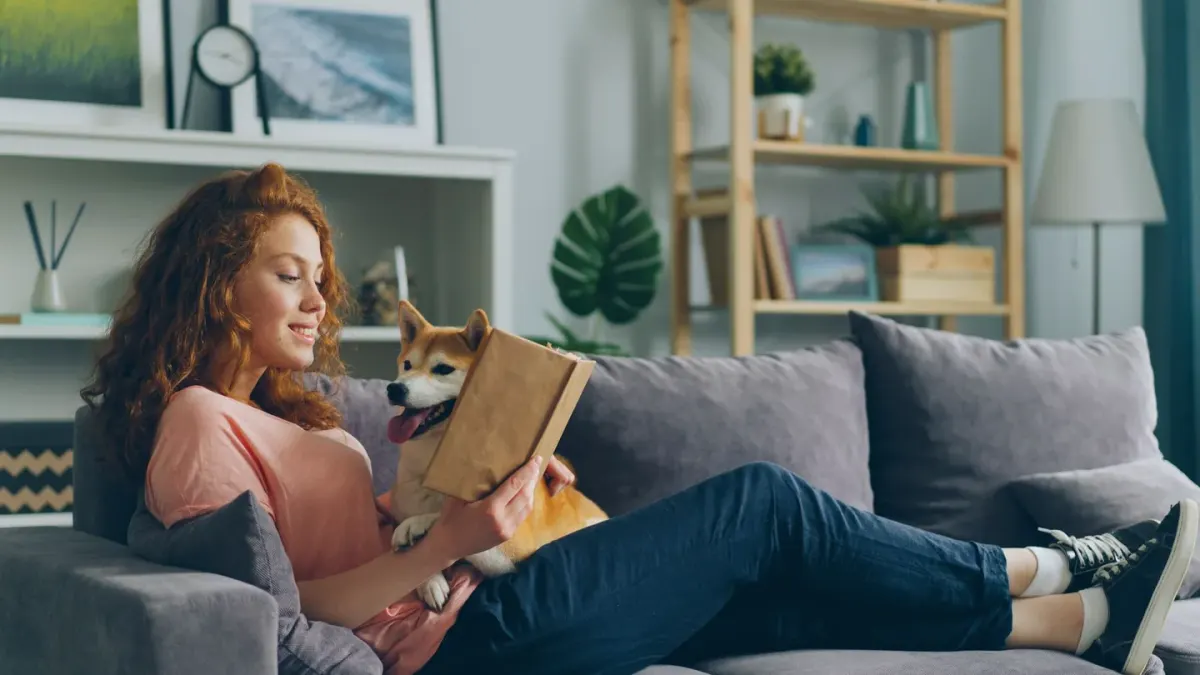 Dog with an owner at home
