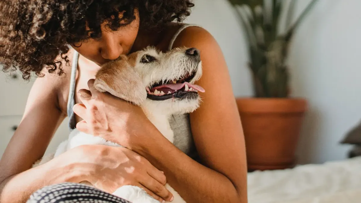 Dog with an owner at home