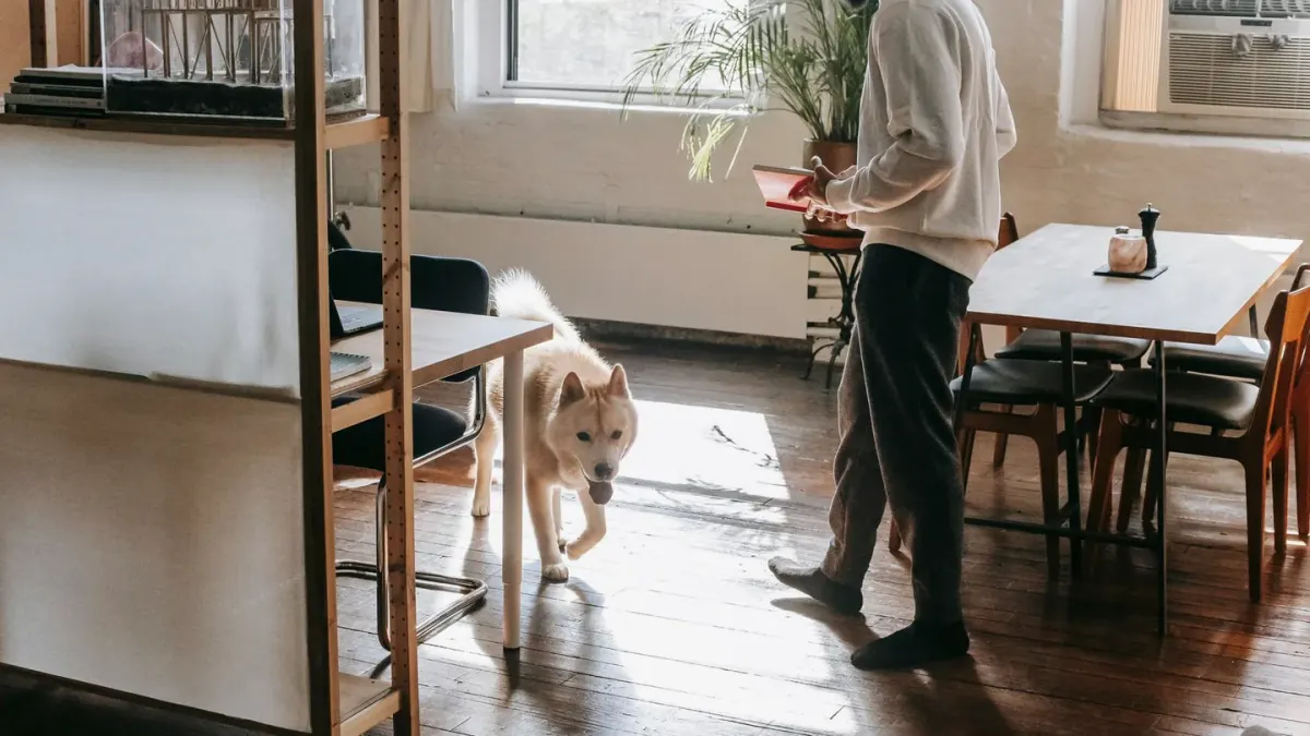 Dog with an owner at home