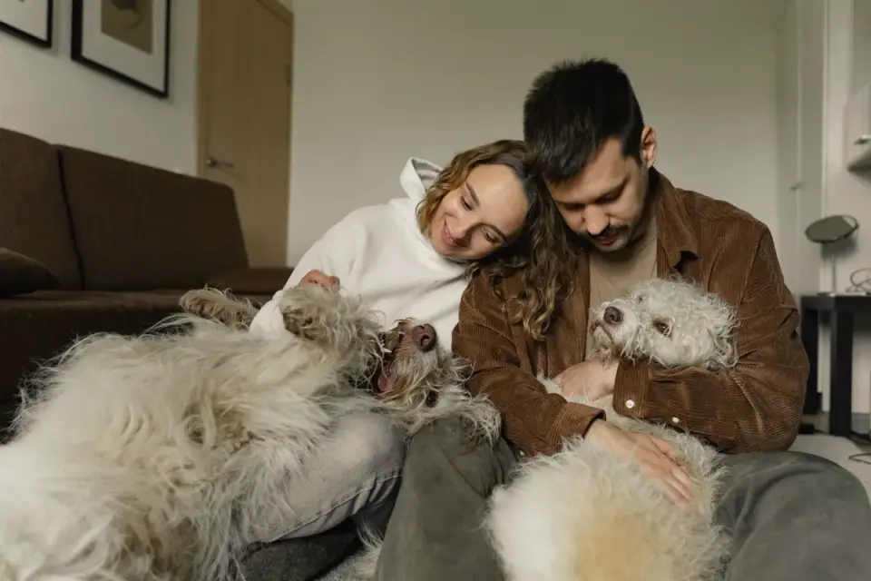 Dog with an owner at home