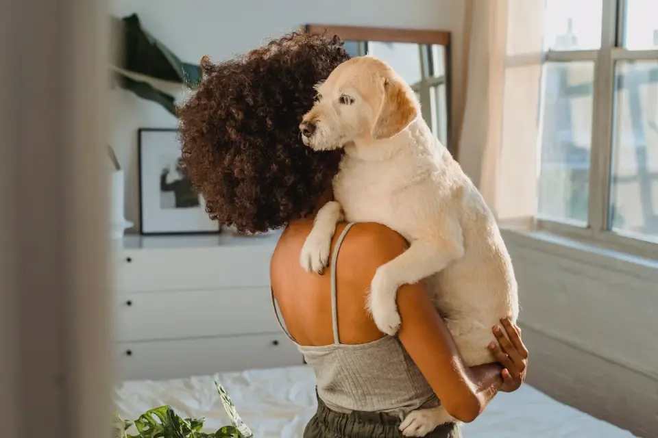 Dog with an owner at home