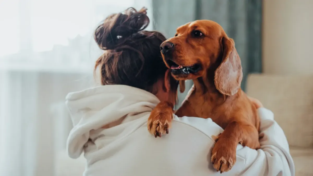 Dog with an owner at home