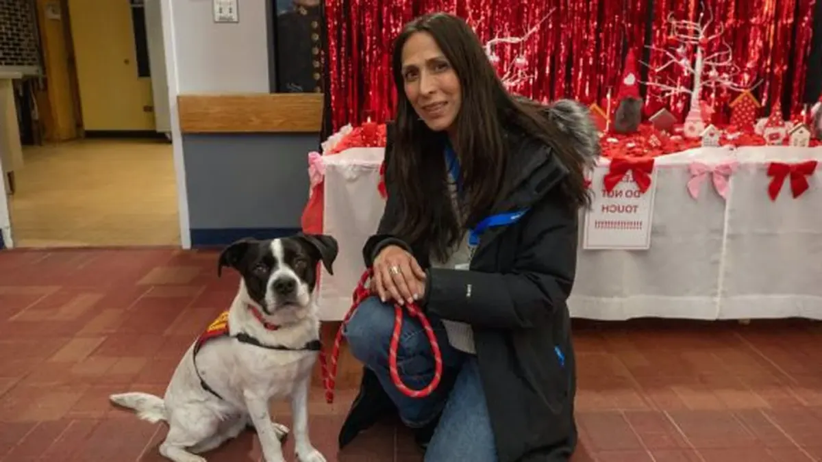 Dog with an owner at home