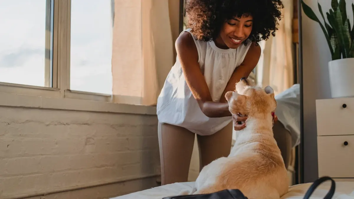Dog with an owner at home