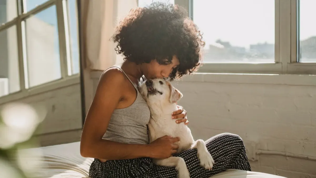 Dog with an owner at home
