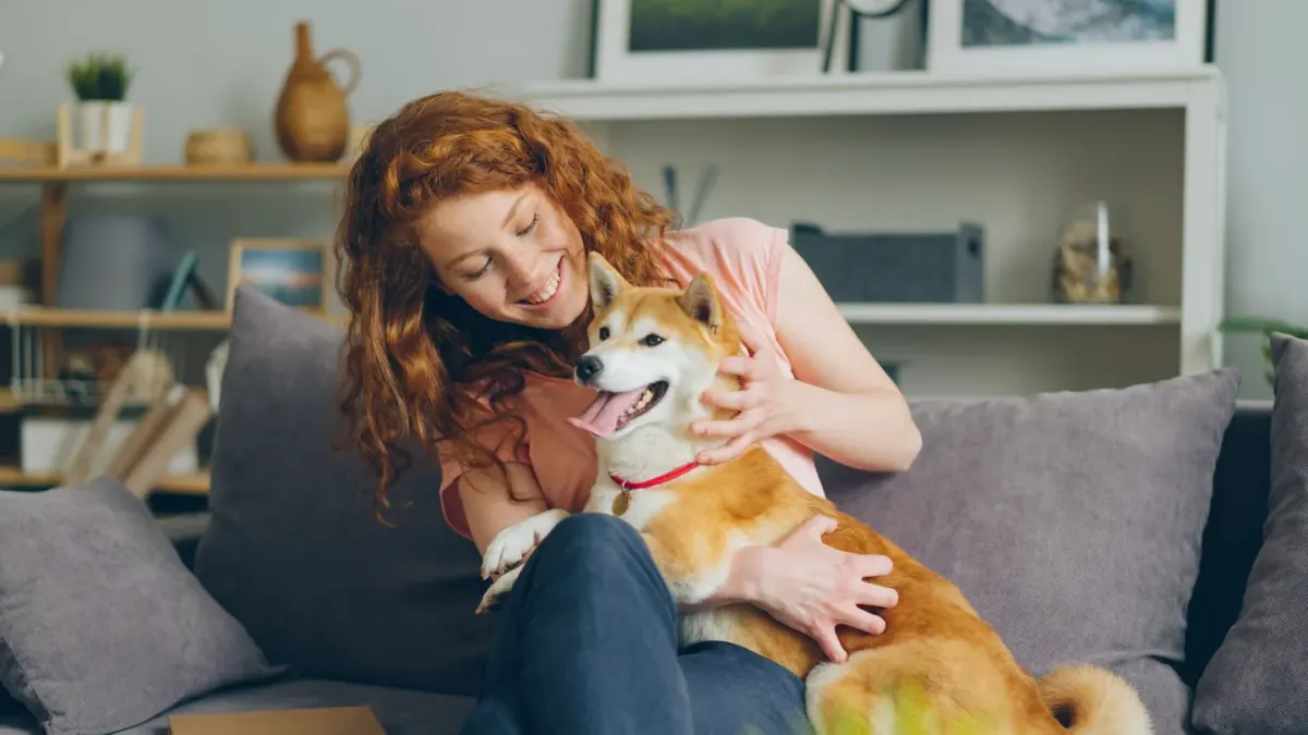 Dog with an owner at home