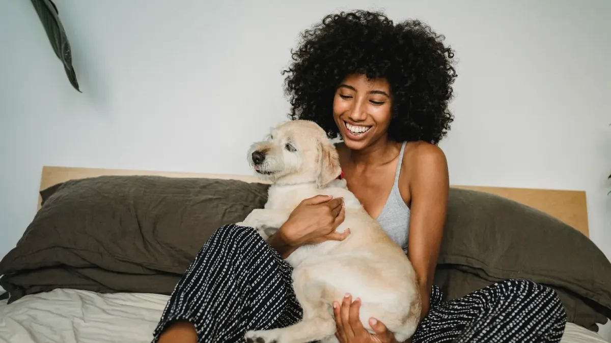 Dog with an owner at home