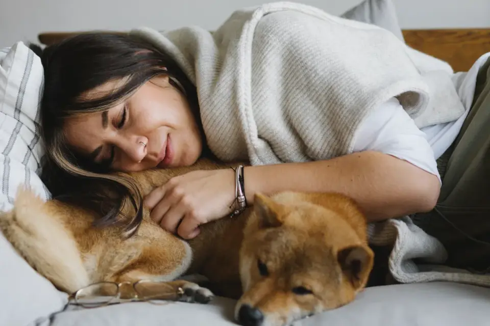 Dog with an owner at home