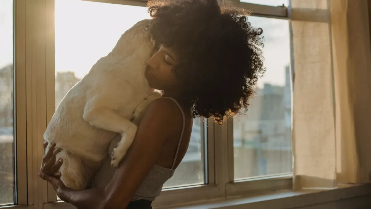 Dog with an owner at home