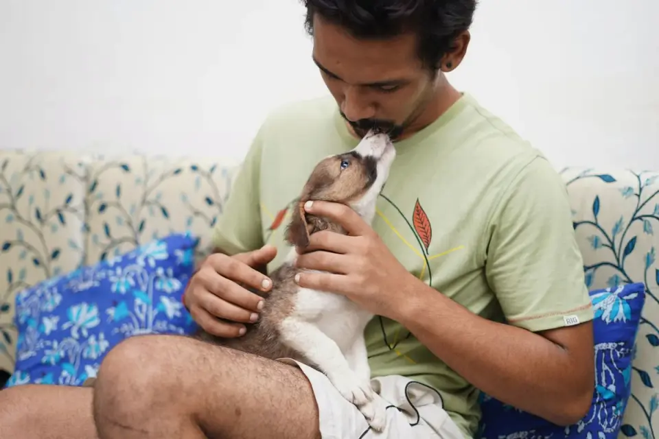Dog with an owner at home