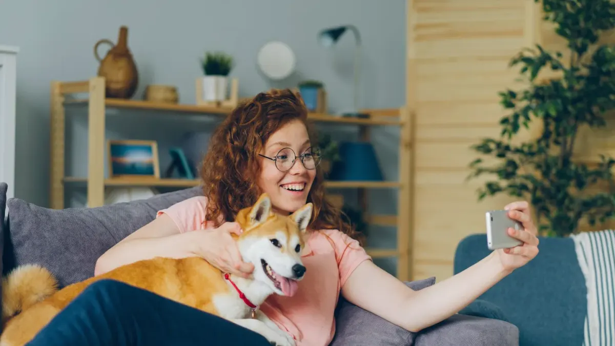 Dog with an owner at home