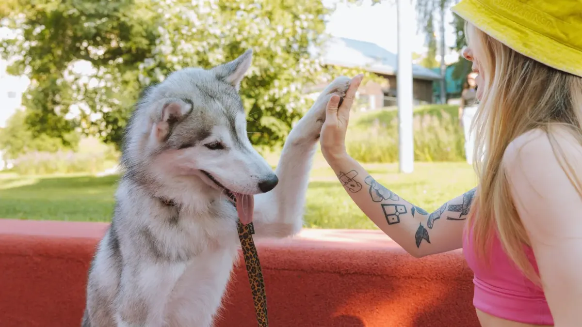 Owner supporting a dog